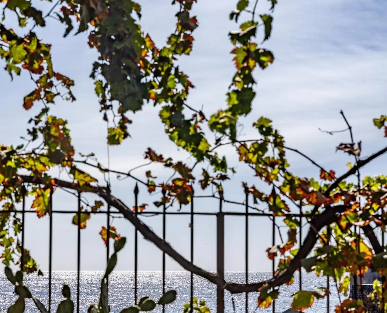 Villa Casa Costarelli - Le Terrazze Sul Mare Acireale Casa vacanze